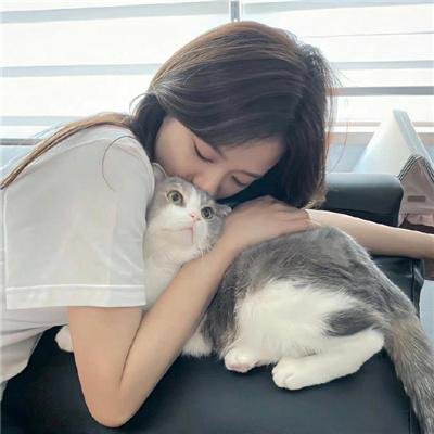 风骚律师第四季